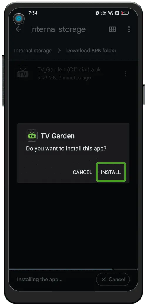 Install and run VidioNode